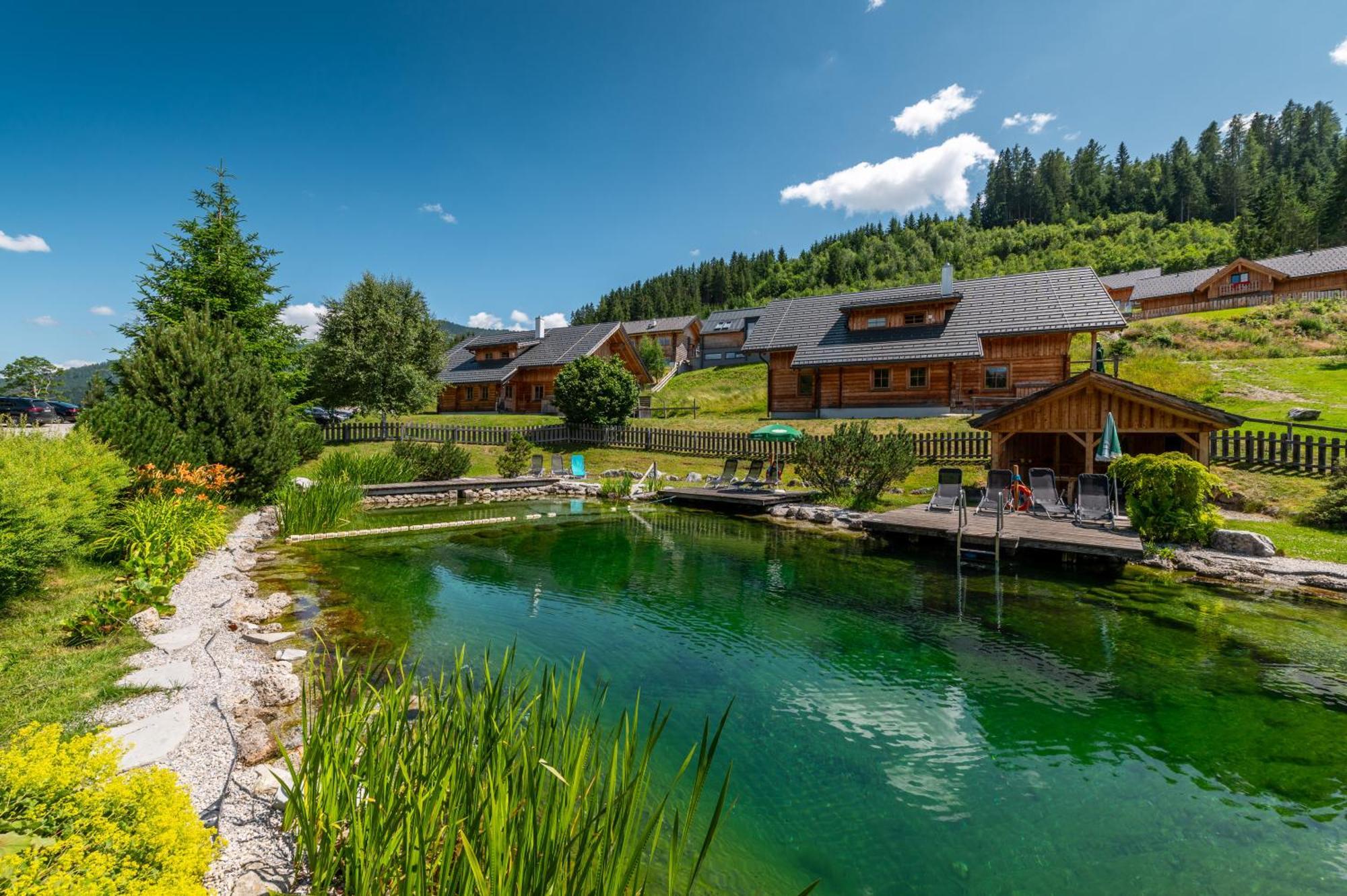 Poolchalet Dachsteinblick Pruggern Zewnętrze zdjęcie